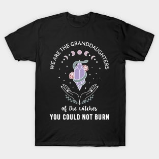 We are the granddaughters of the witches you couldn't burn T-Shirt